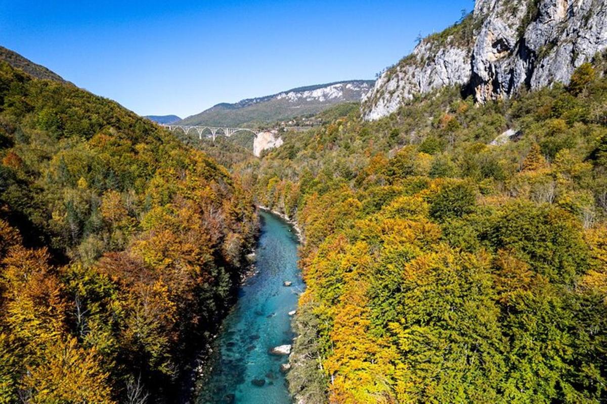 Letecký pohled na řeku v lese