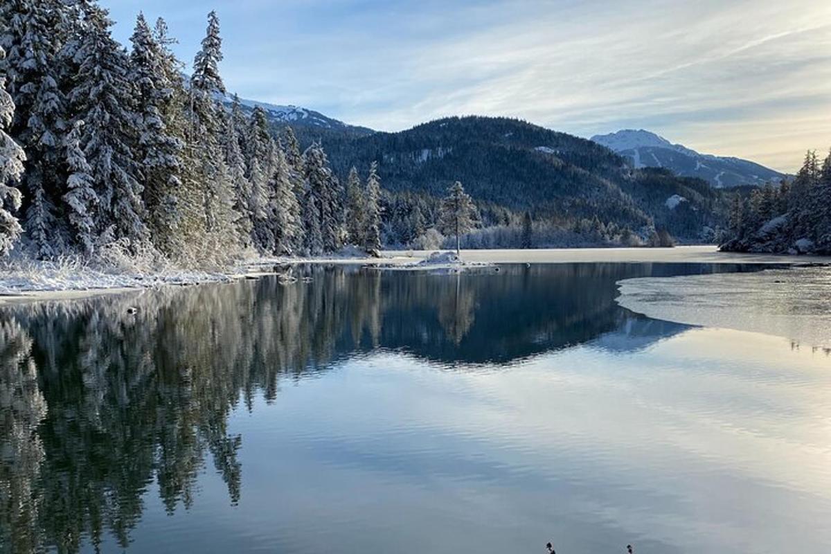 a view of a lake with trees and mountains