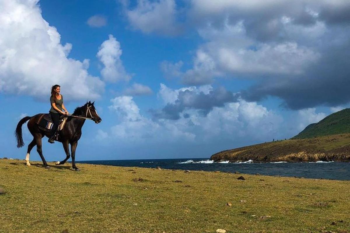 a woman riding a horse on the beach