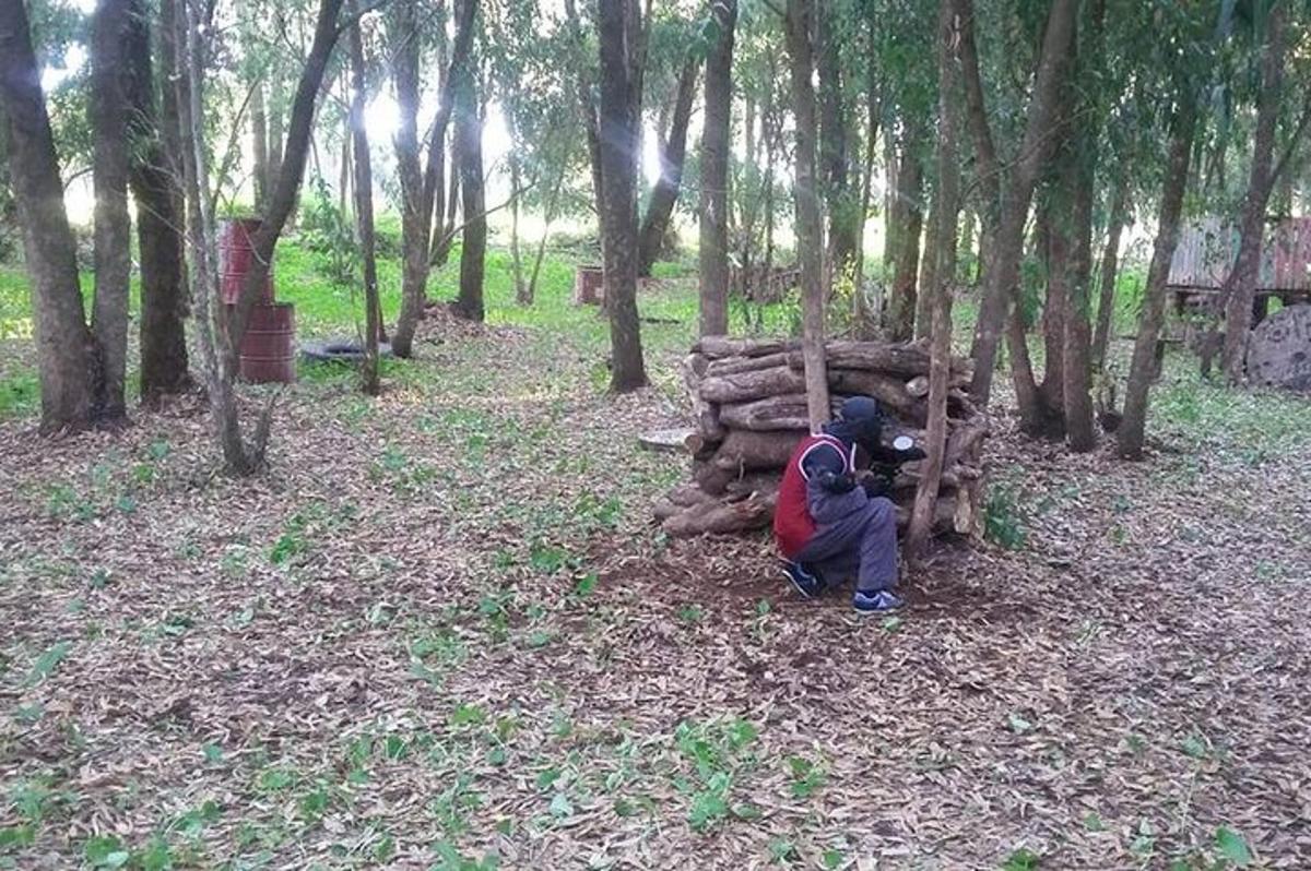 a person kneeling next to a log in a forest