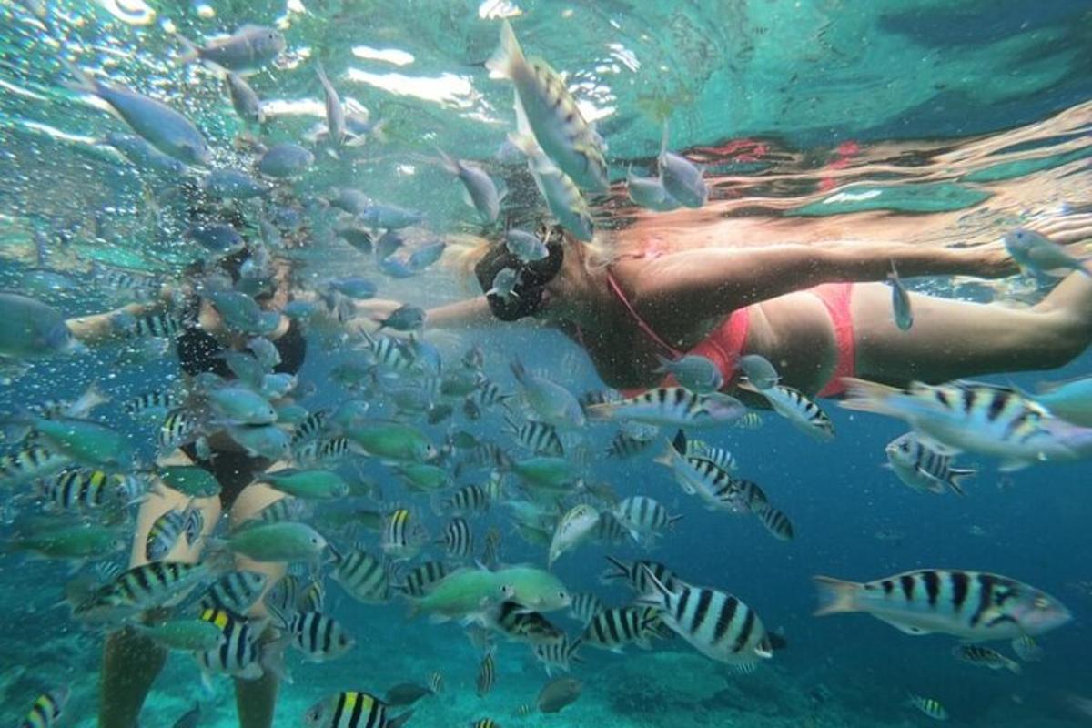 seseorang di dalam air dengan sekumpulan ikan