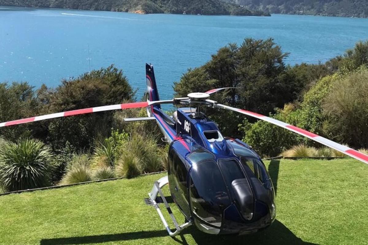 moder helikopter parkiran na travi blizu vode