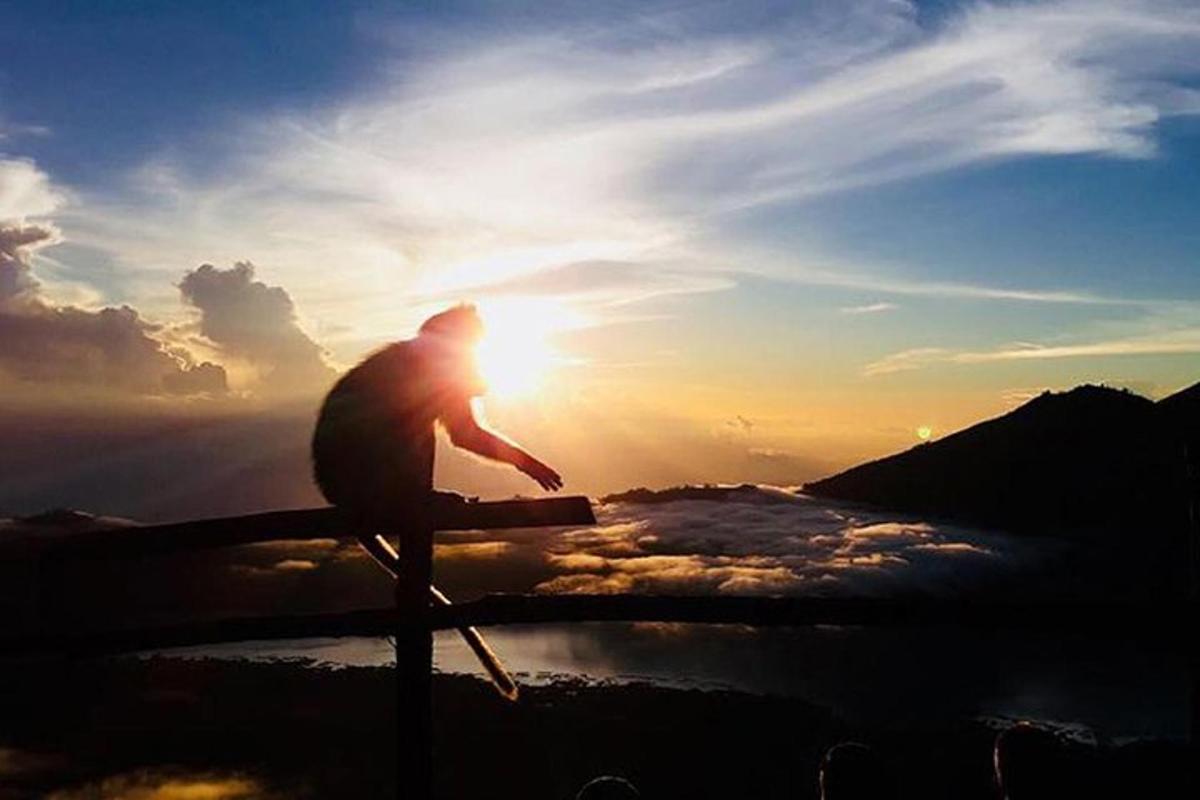 uma pessoa sentada em um banco em frente ao pôr do sol