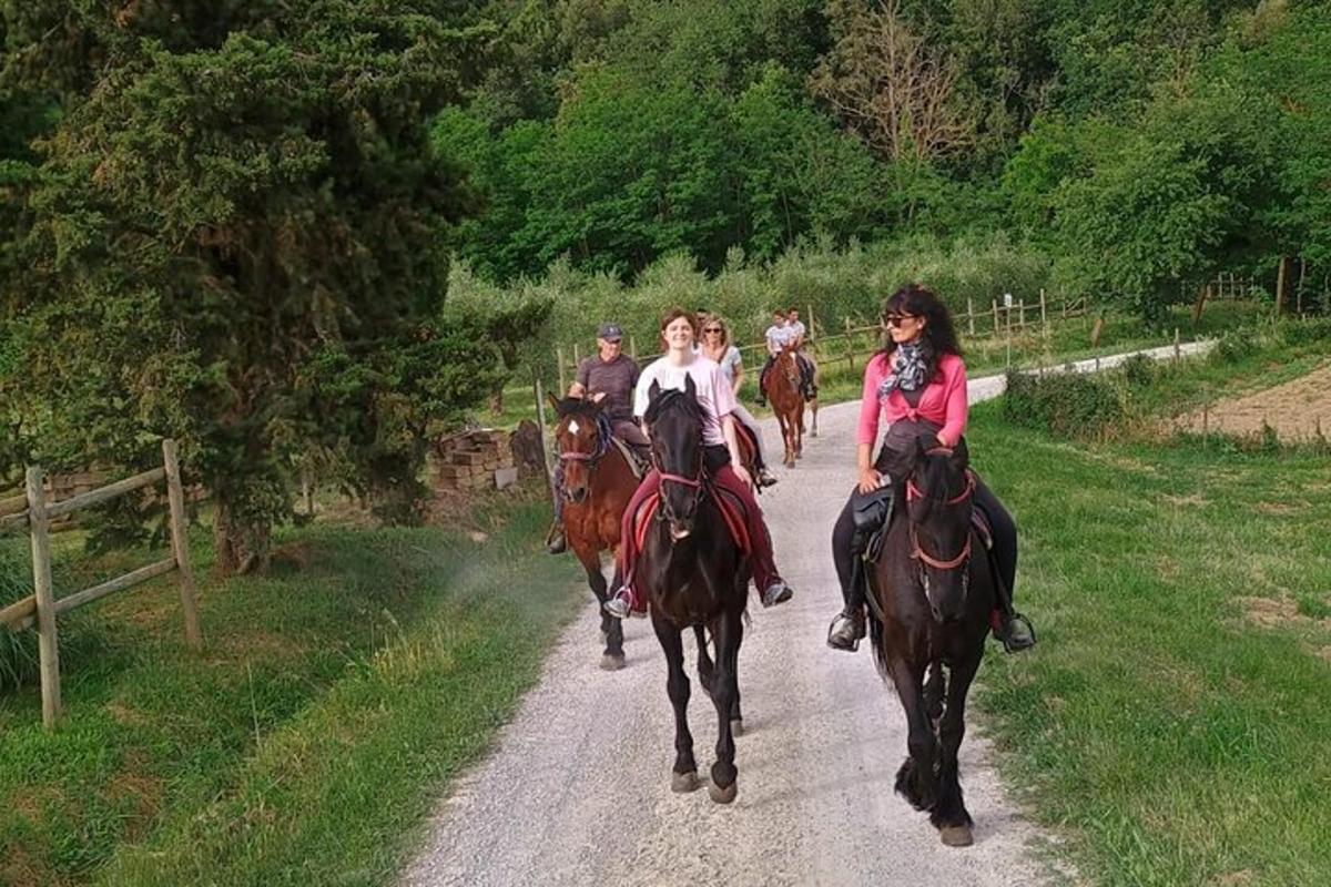 eine Gruppe von Menschen reitet auf Pferden einen Feldweg entlang
