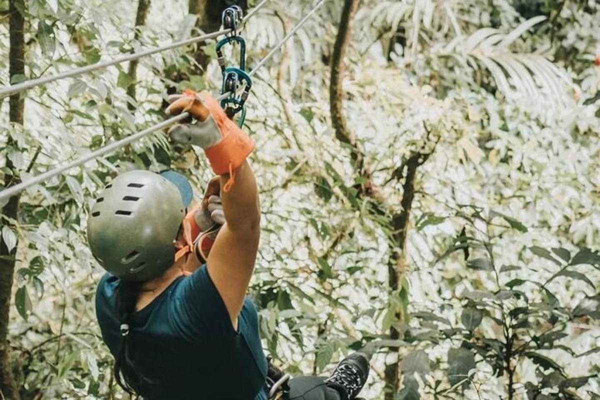 eine Person auf einer Seilrutsche im Dschungel
