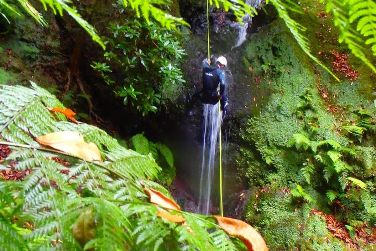 two people on a rope over a waterfall in the jungle
