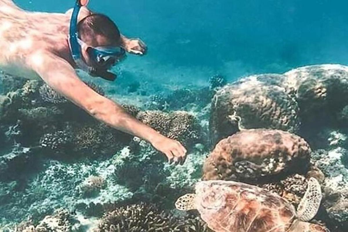 moški plava v oceanu poleg želve