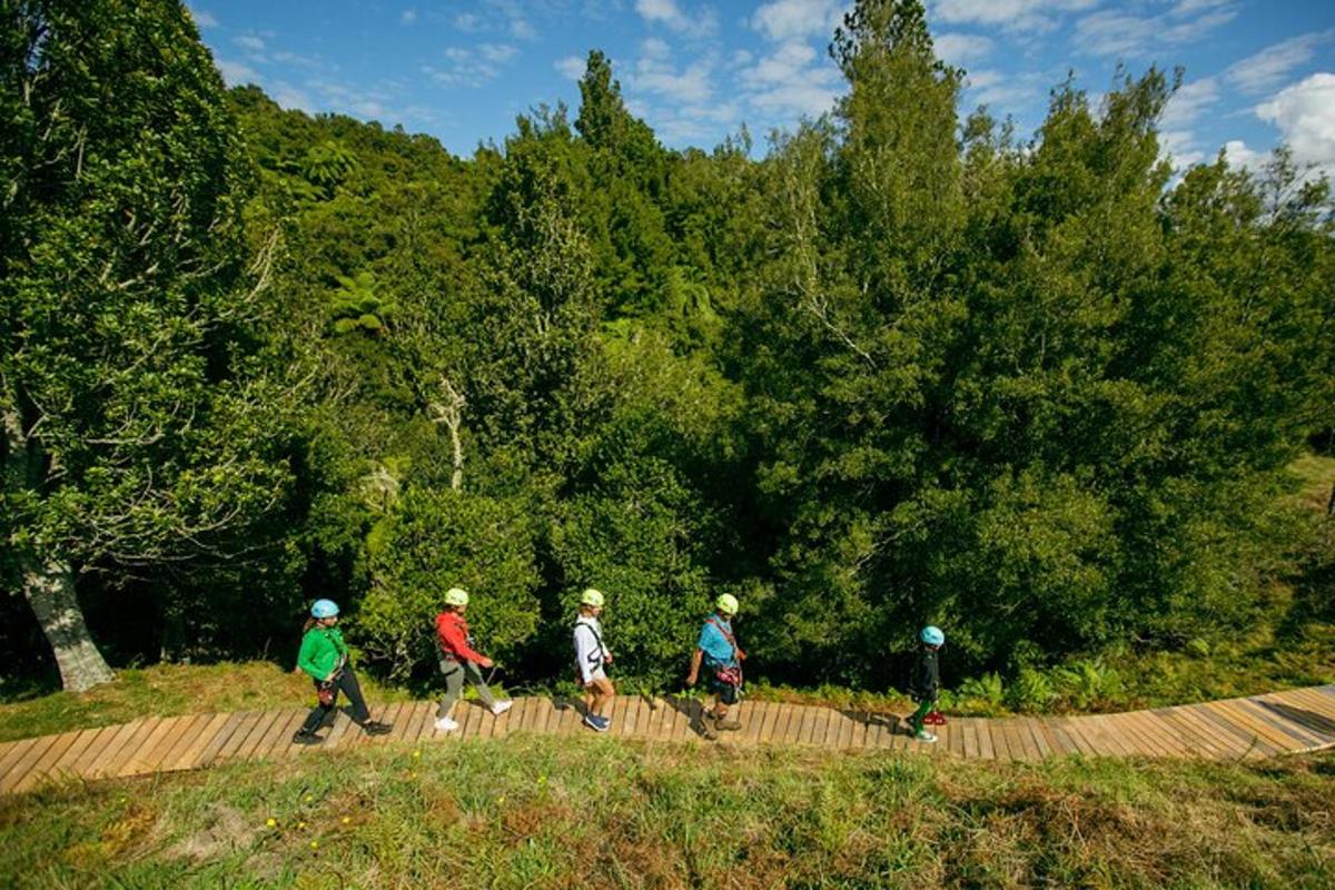 a group of people walking down a wooden path