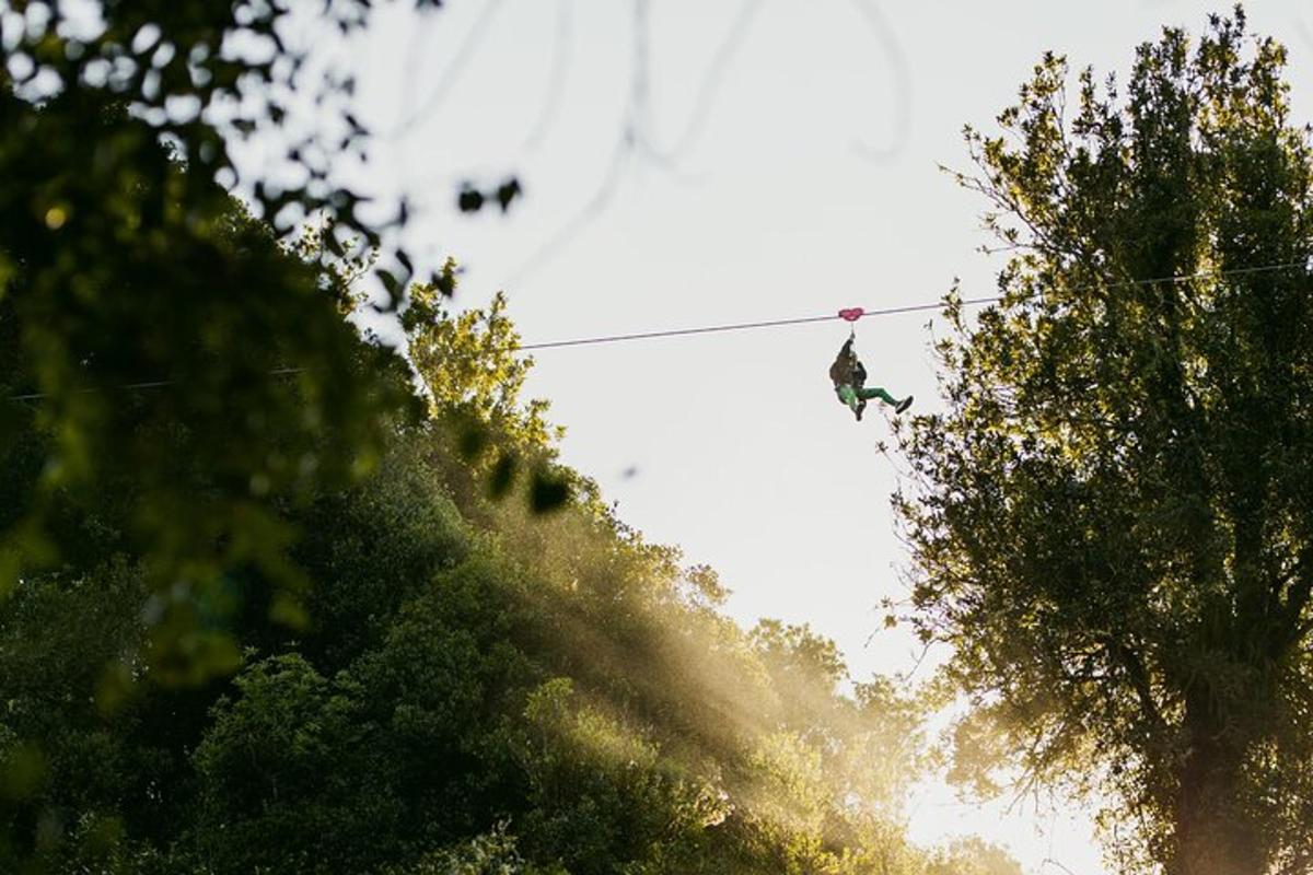 a person on a zip line above some trees