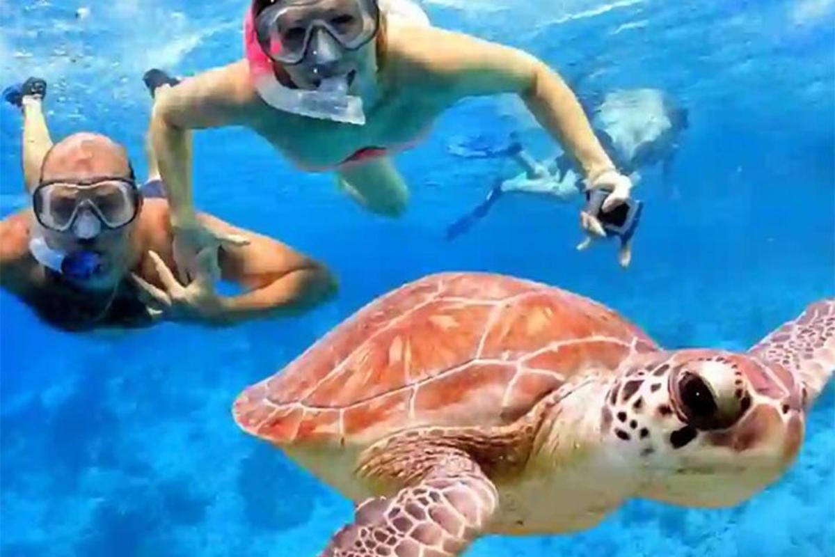 dve osebi v vodi z želvo