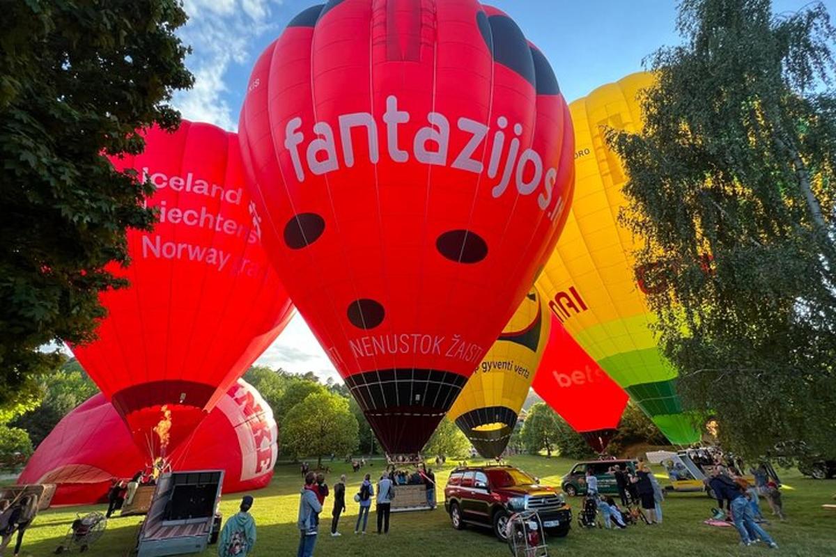 un groupe de montgolfières colorées dans un champ