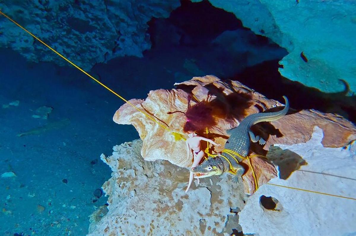 un'immagine subacquea di una pastinaca nell'acqua