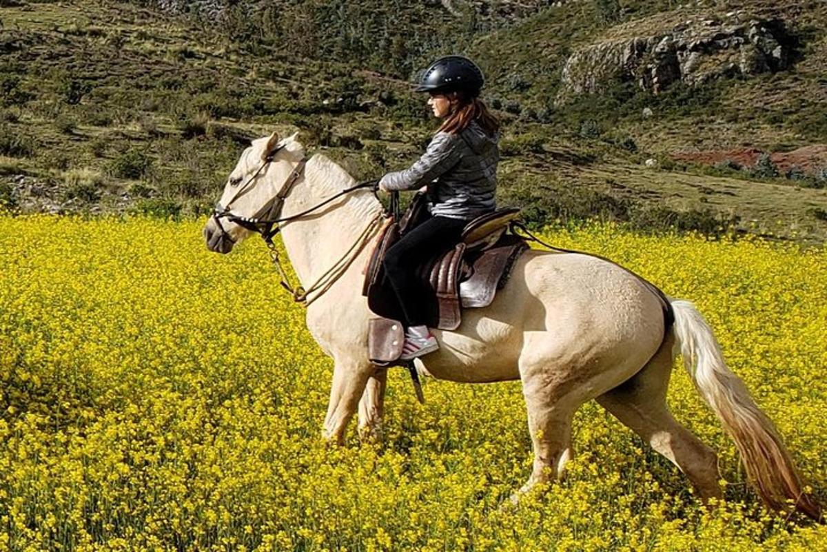una donna che cavalca un cavallo bianco in un campo