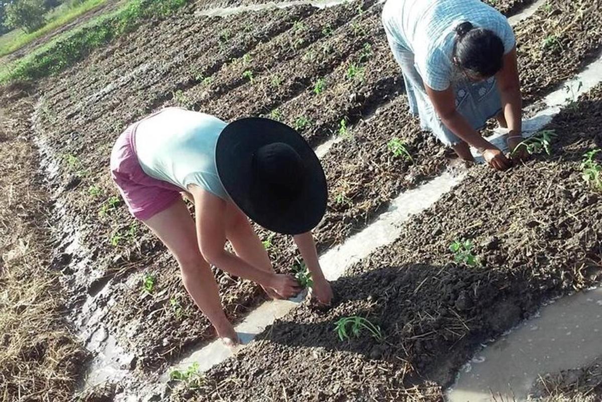 due persone che lavorano in un campo coltivato