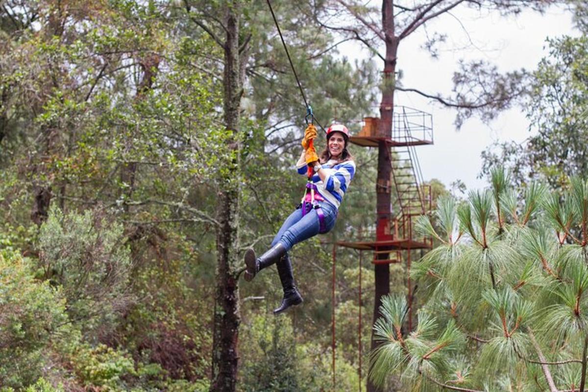 uma mulher balançando em uma tirolesa na floresta