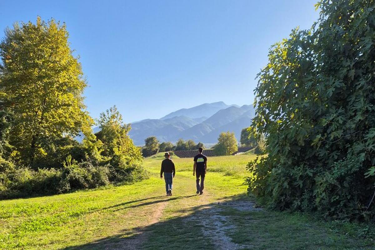 Dos personas caminan por un camino de tierra