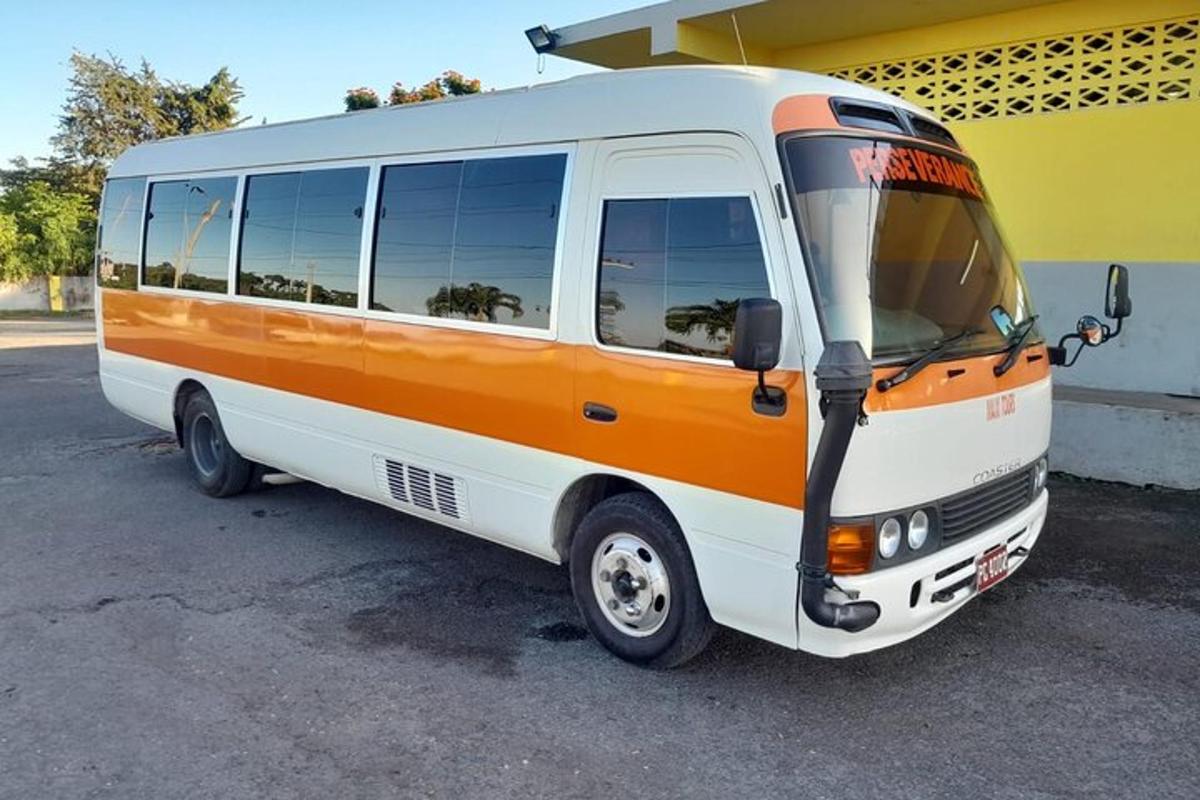 một chiếc xe buýt màu trắng và cam đỗ cạnh một tòa nhà