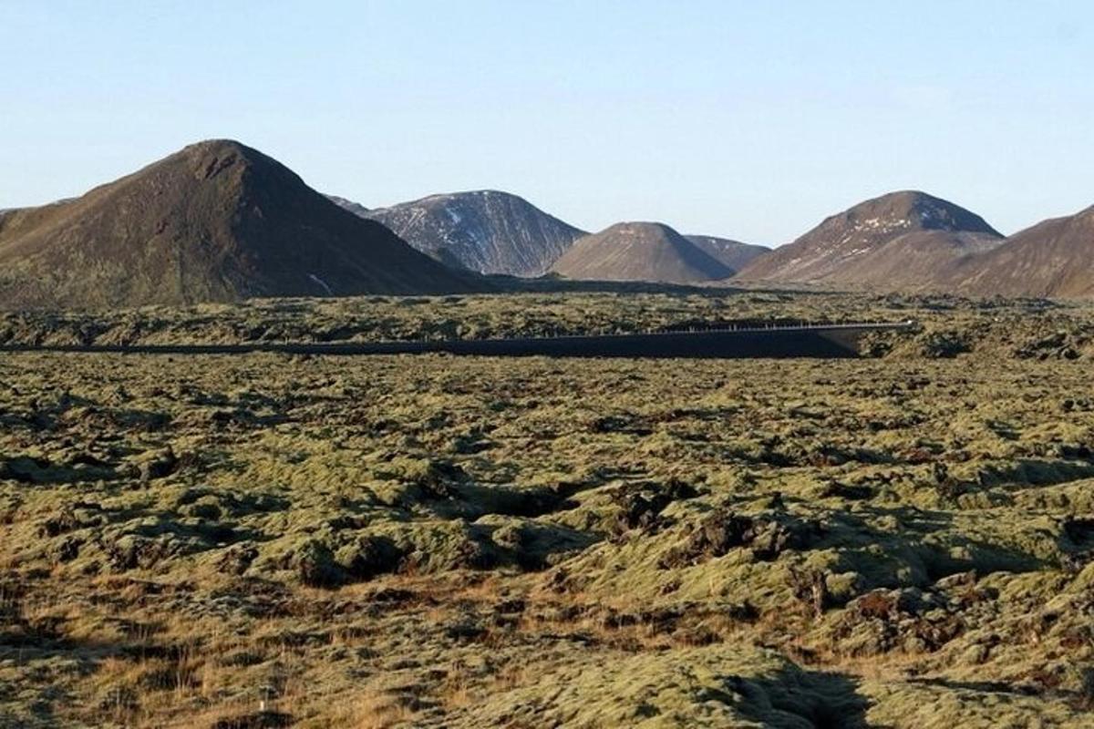 Una vista de un desierto con montañas al fondo.