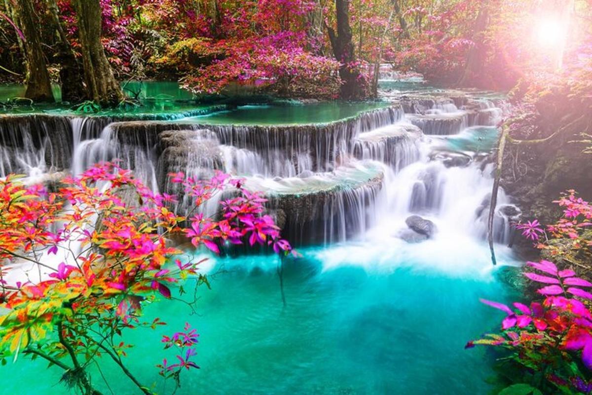 una cascata in una foresta con fiori rosa