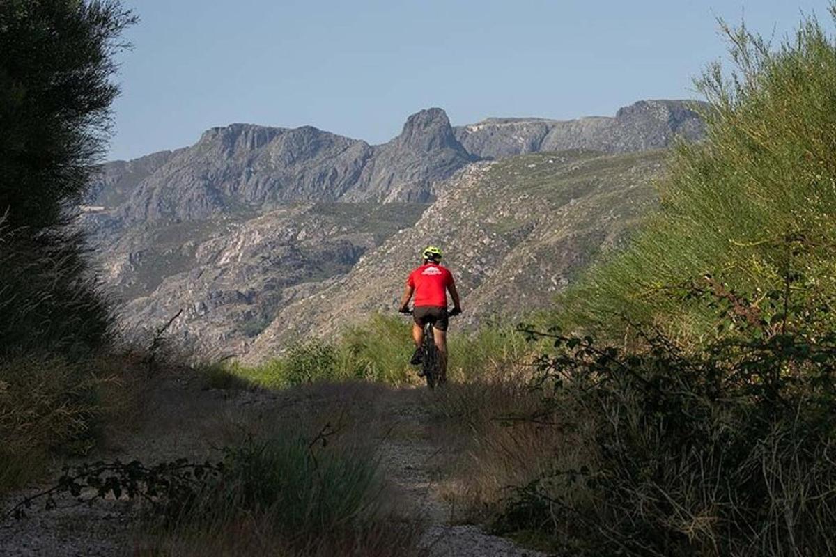 a man riding a bike on a mountain trail