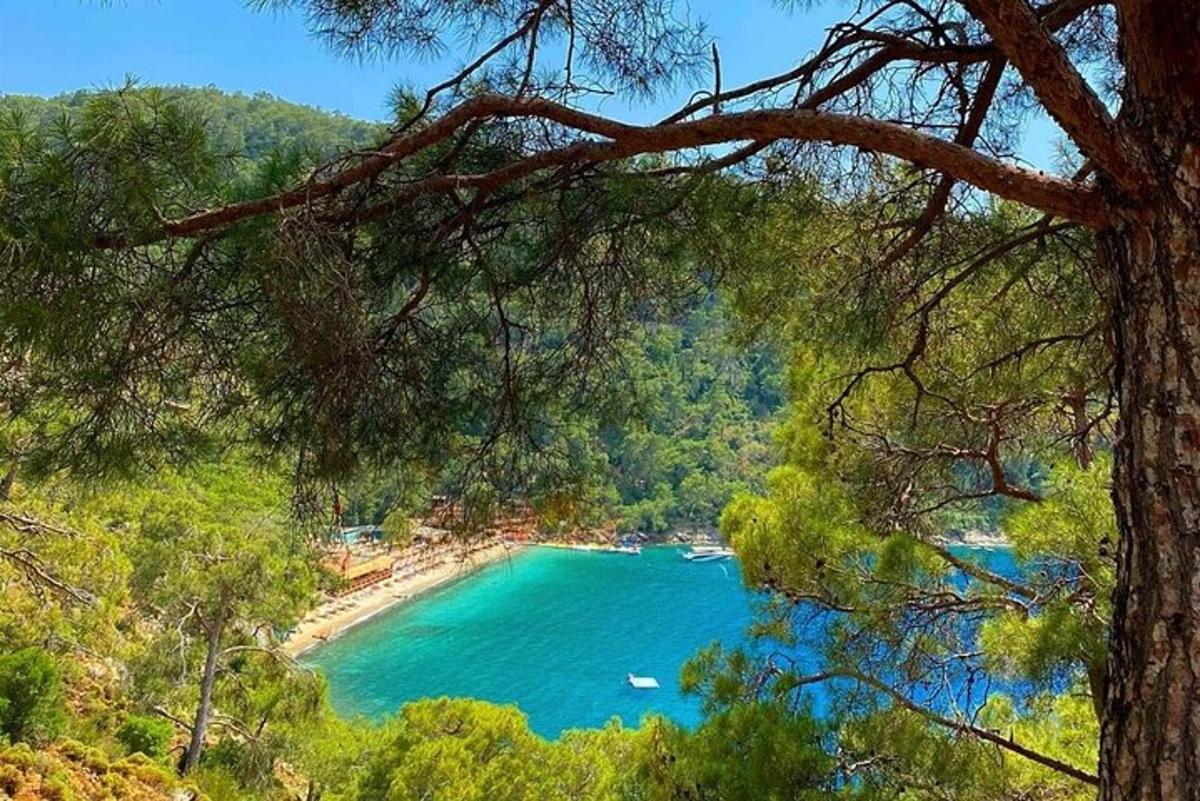 une vue d'une plage avec des bateaux dans l'eau