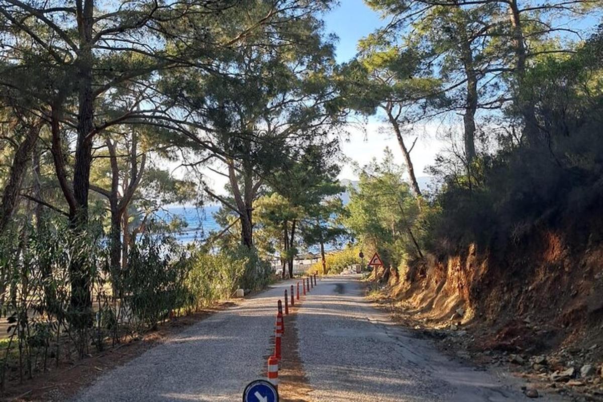 una carretera buida amb arbres al costat de la carretera