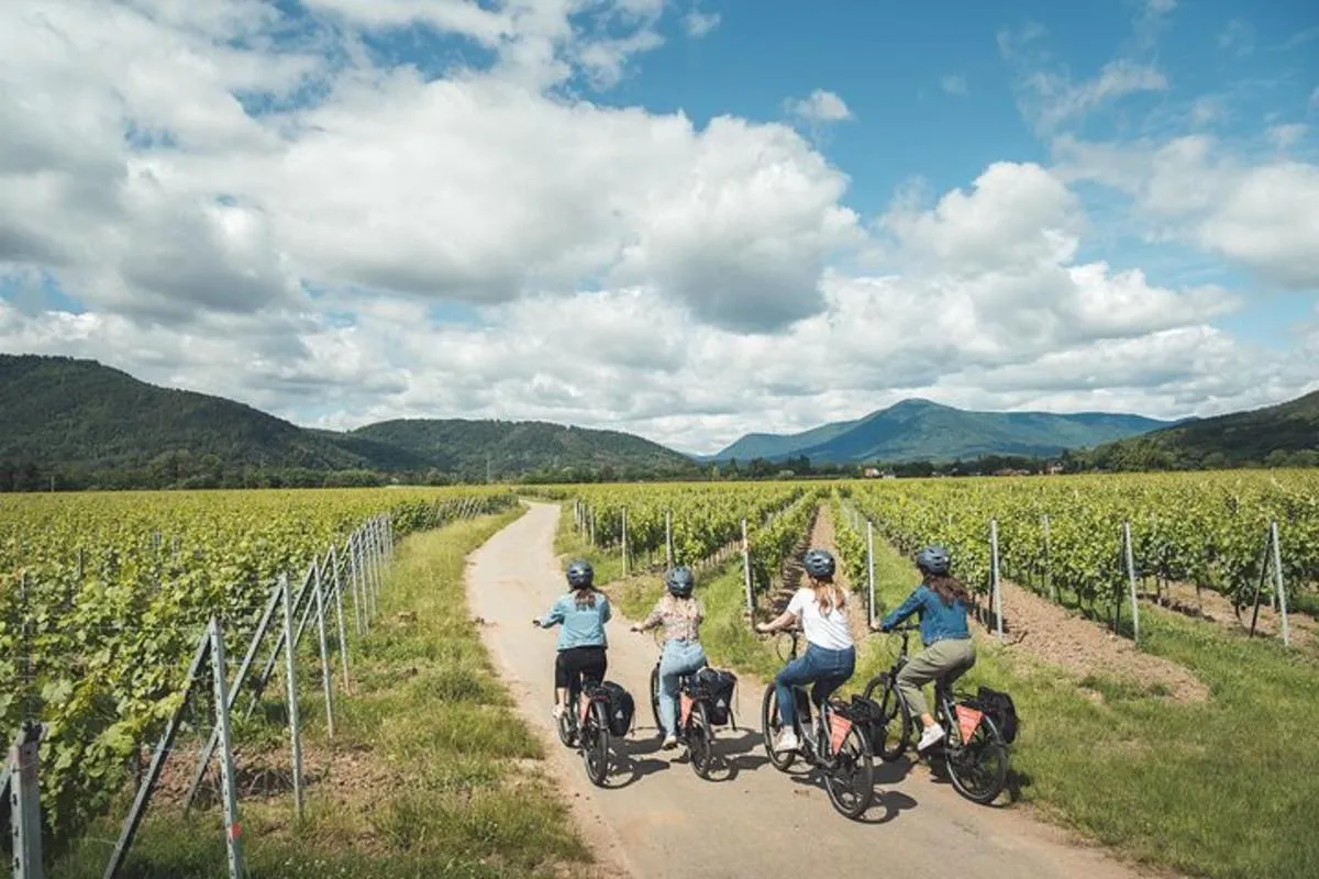 Radtour auf der Weinstraße von Sélestat – Foto 6