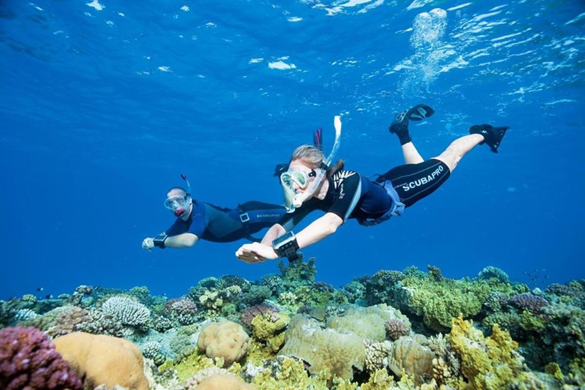 two people are swimming over a coral reef