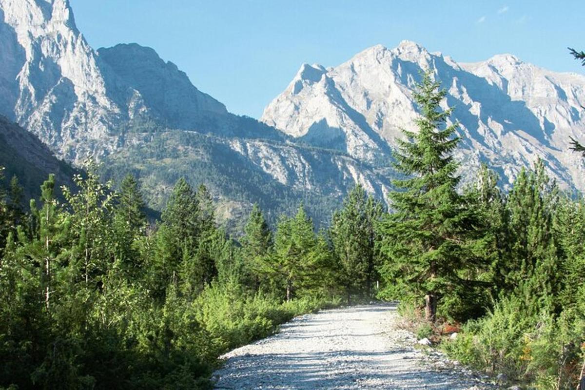 un camí de terra amb arbres i muntanyes al fons