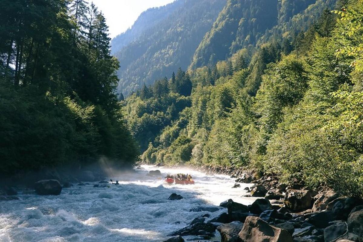 山谷中布满岩石和树木的河流