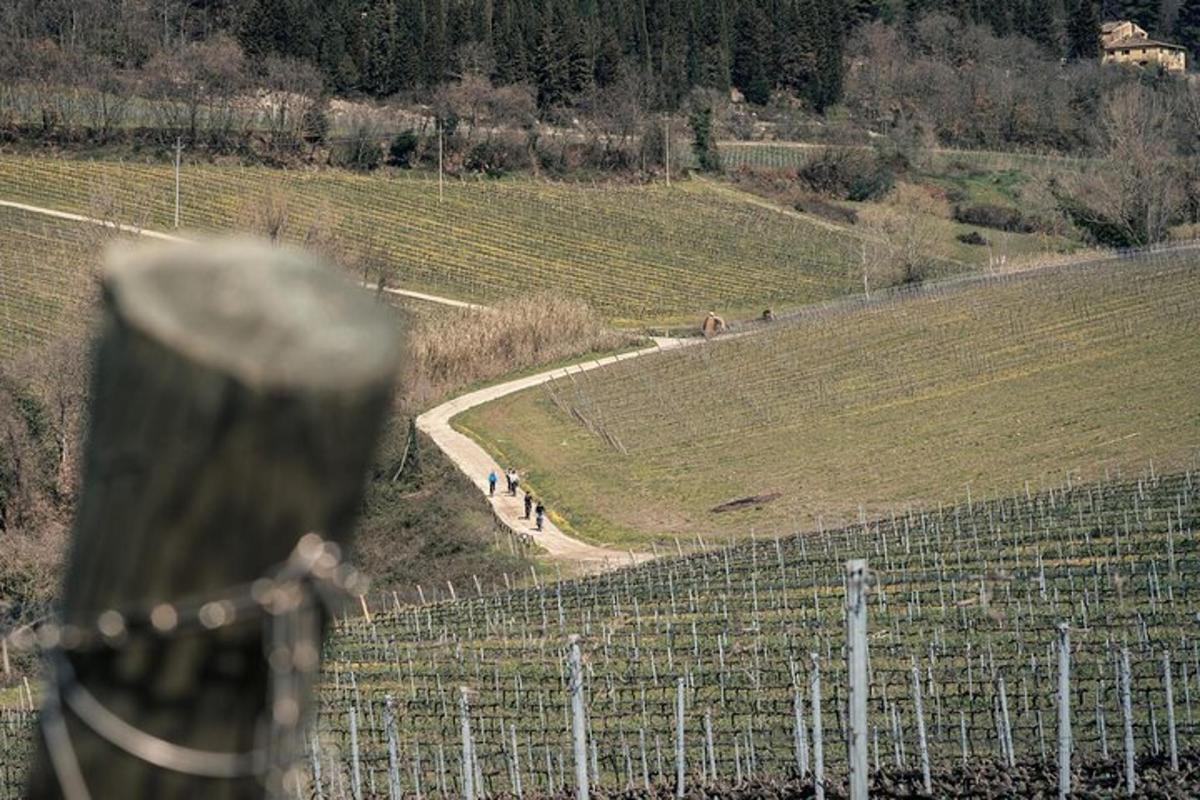 una recinzione in un campo con persone che camminano su una strada