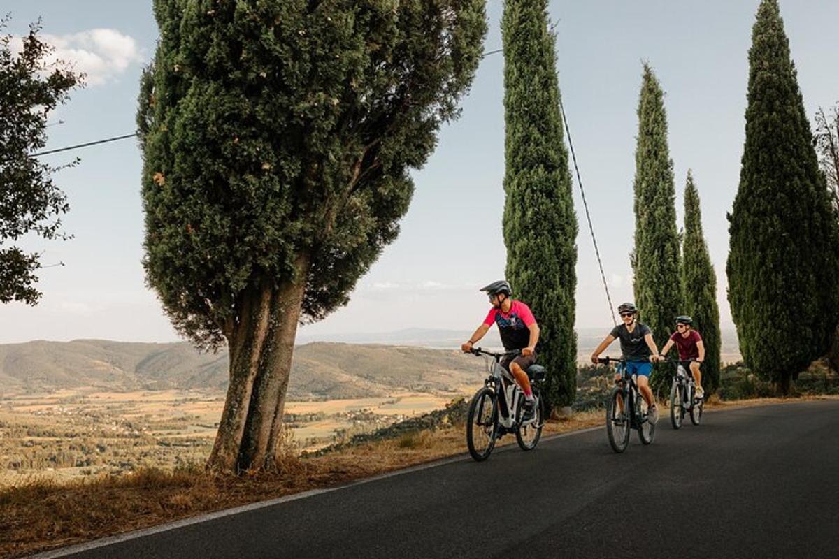 a group of people riding bikes down a road
