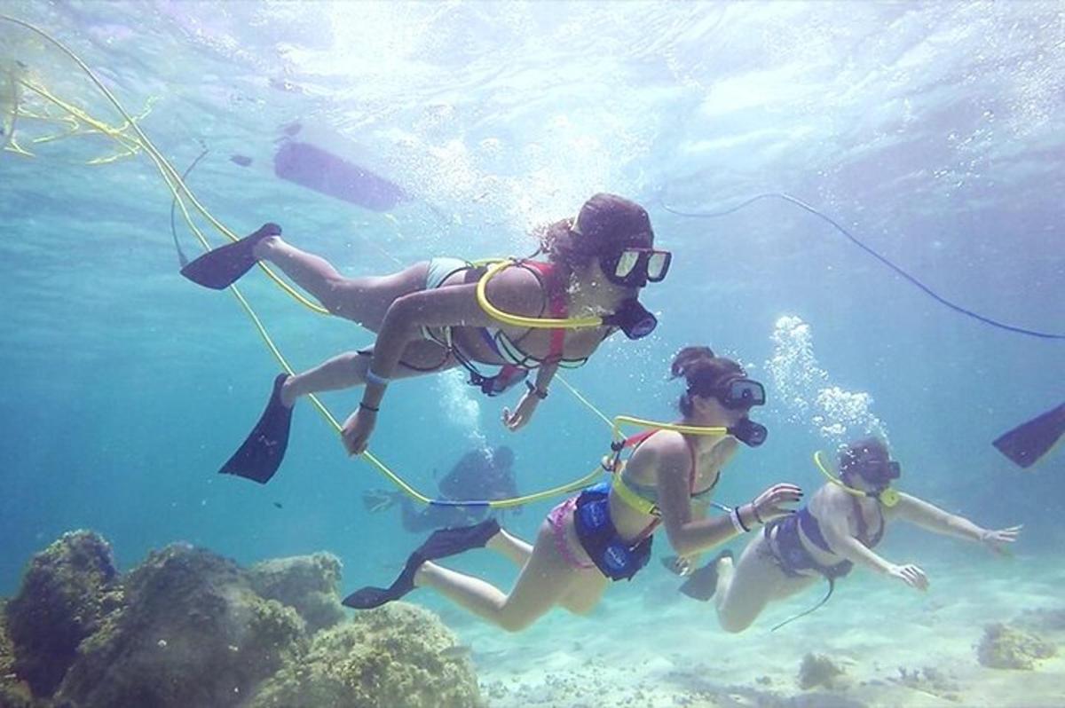 three people are scuba diving in the ocean