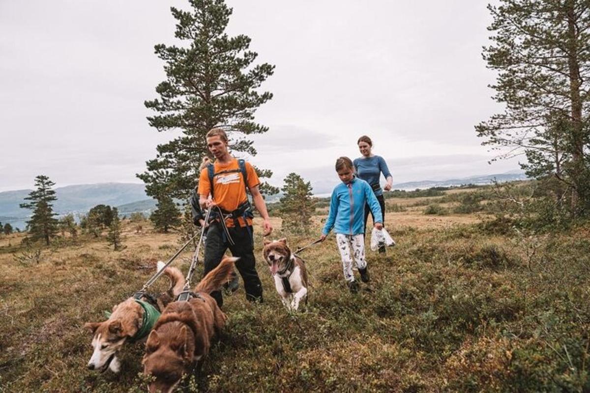 a group of people walking three dogs in a field