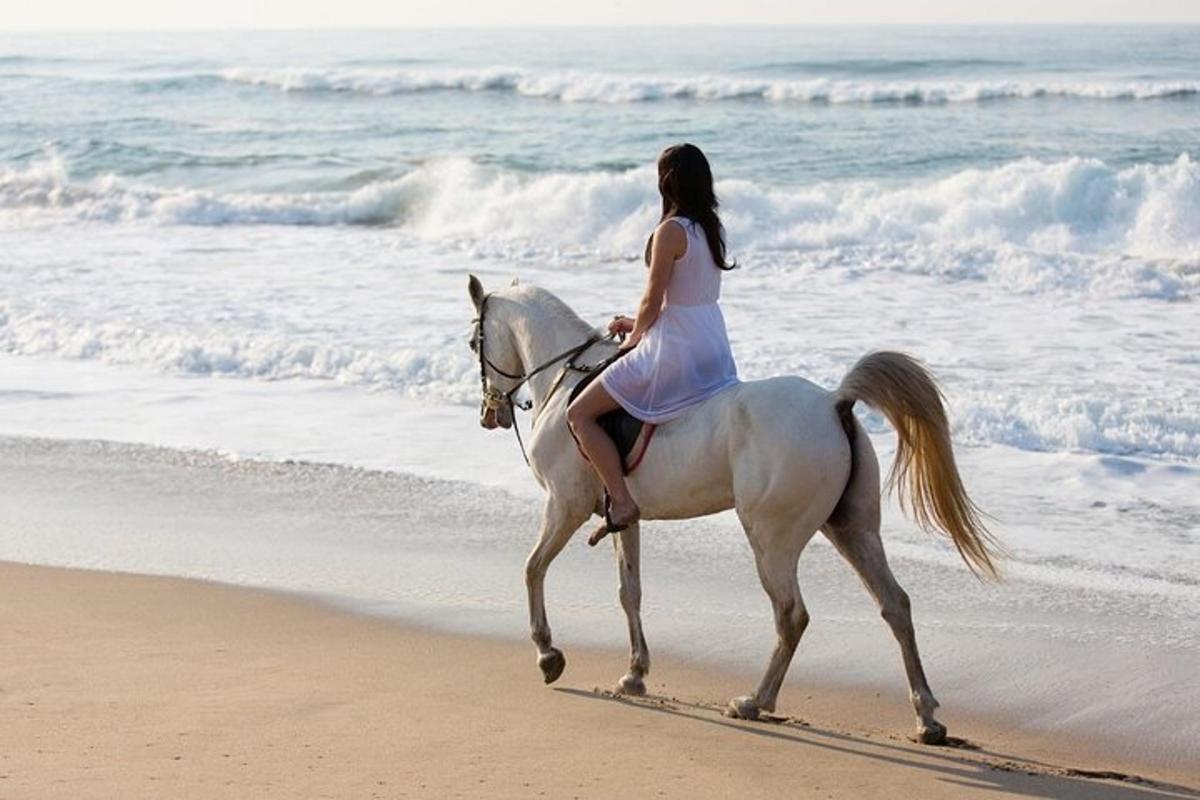 a woman riding a white horse on the beach