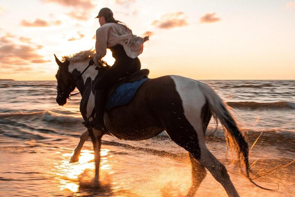 a man riding a horse on the beach