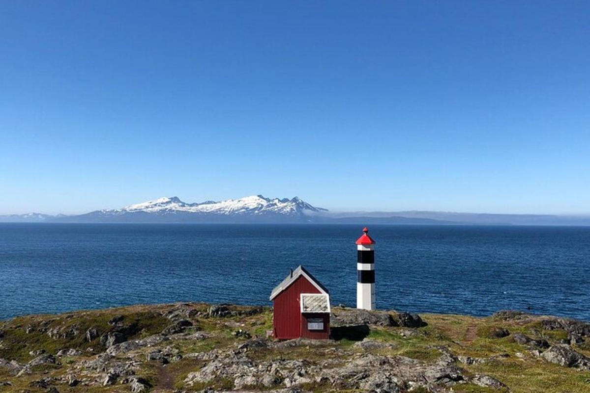 un far vermell i blanc en un turó amb l'oceà