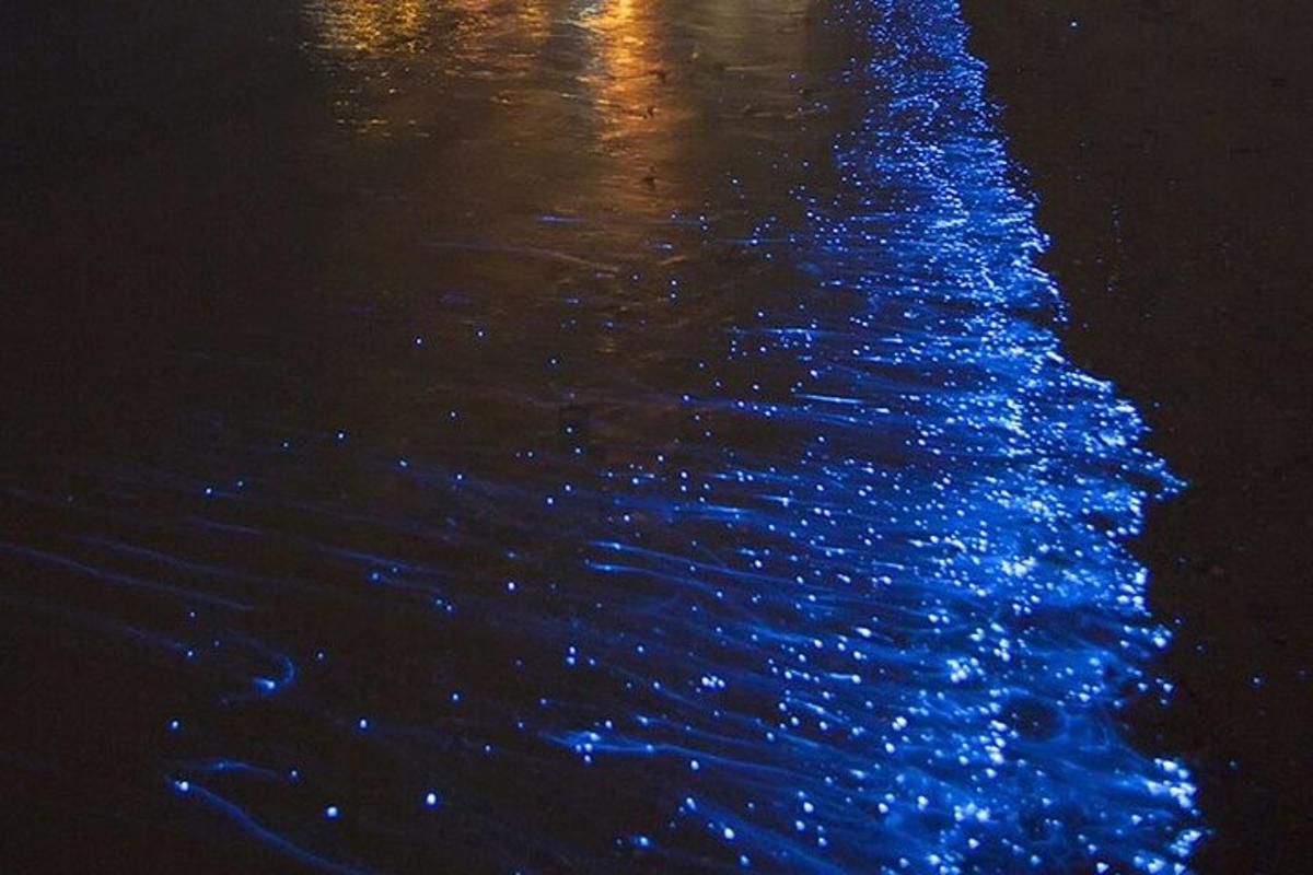 夜晚水中的一组蓝色灯光