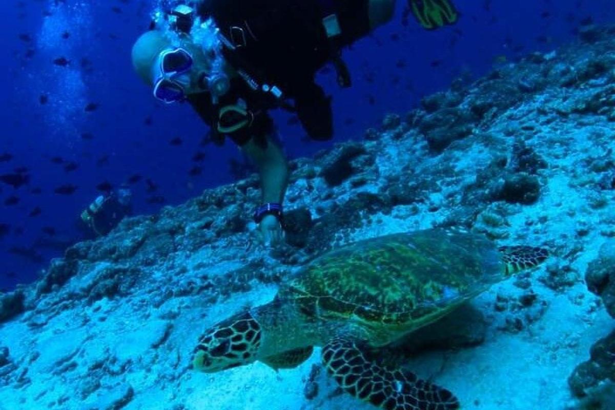 una persona che scatta una foto a una tartaruga nell'oceano
