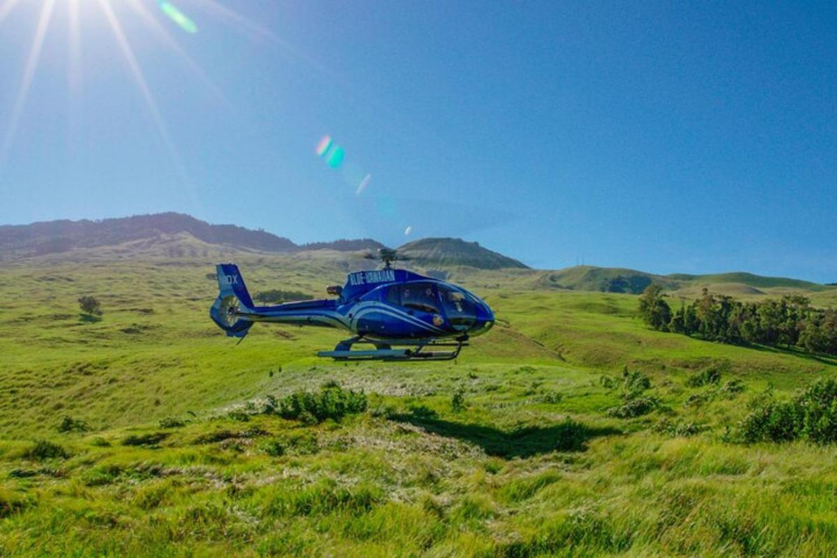 zils helikopters, kas sēž zāļainā laukā