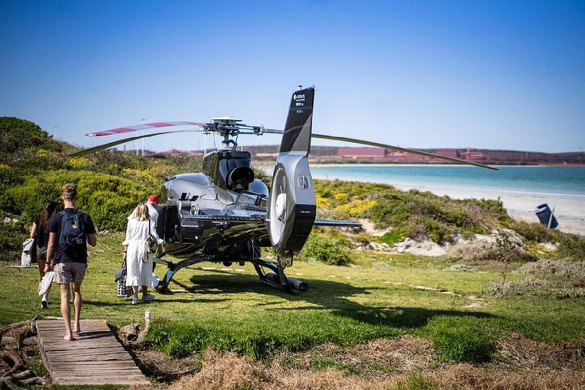 egy helikopter parkolt a fűben egy strand mellett