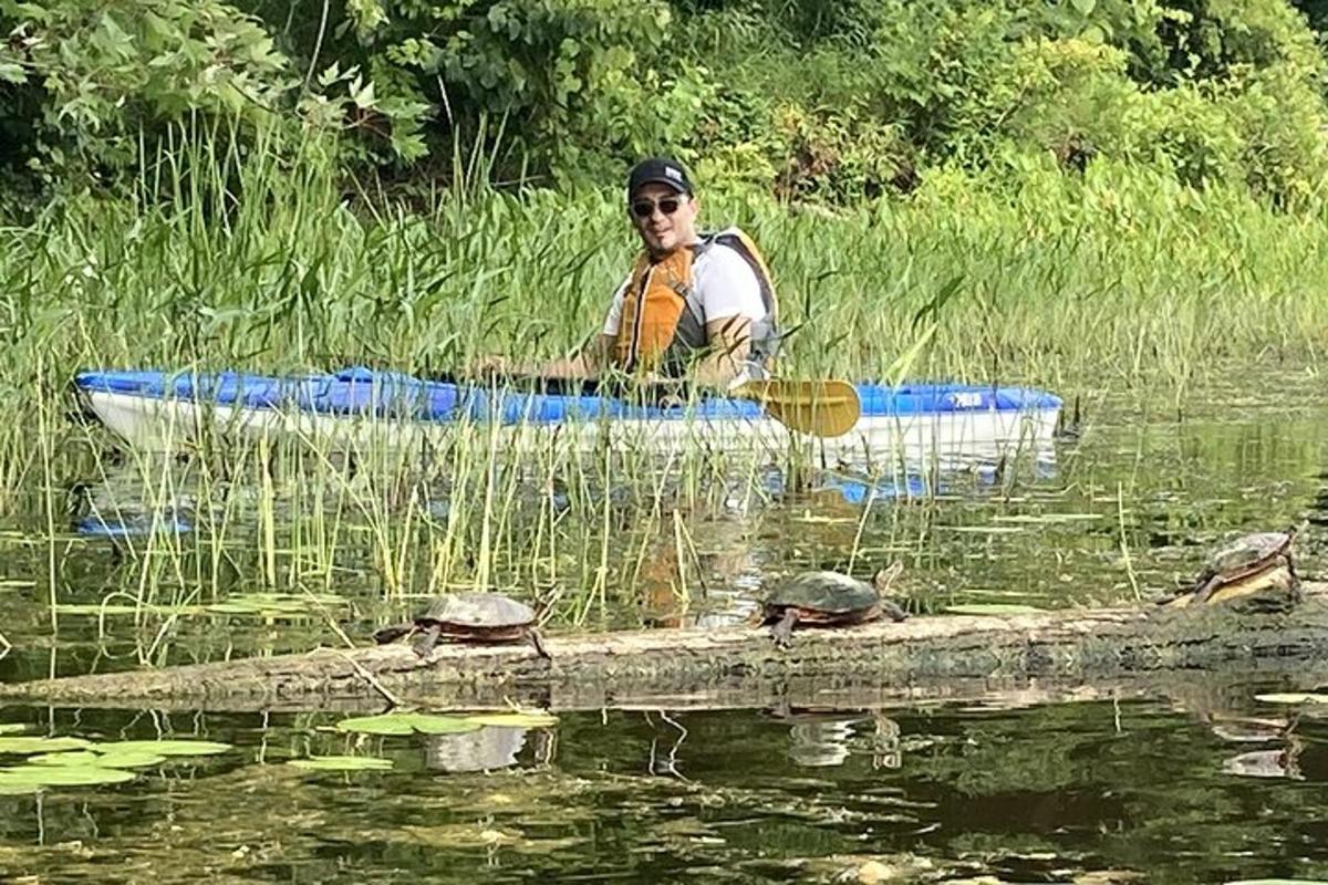 Un hombre en una balsa con tortugas en un tronco en el agua.