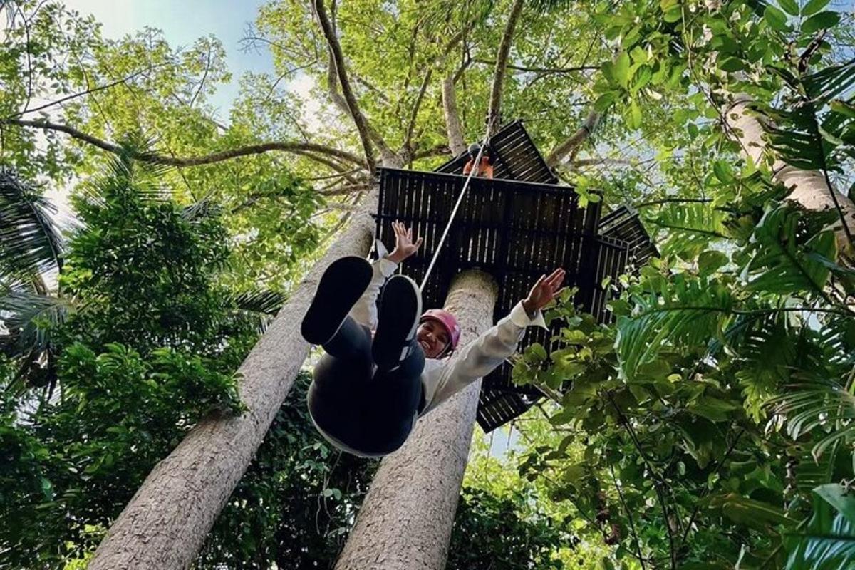 eine Frau, die auf einer Seilrutsche in einem Baum schwingt