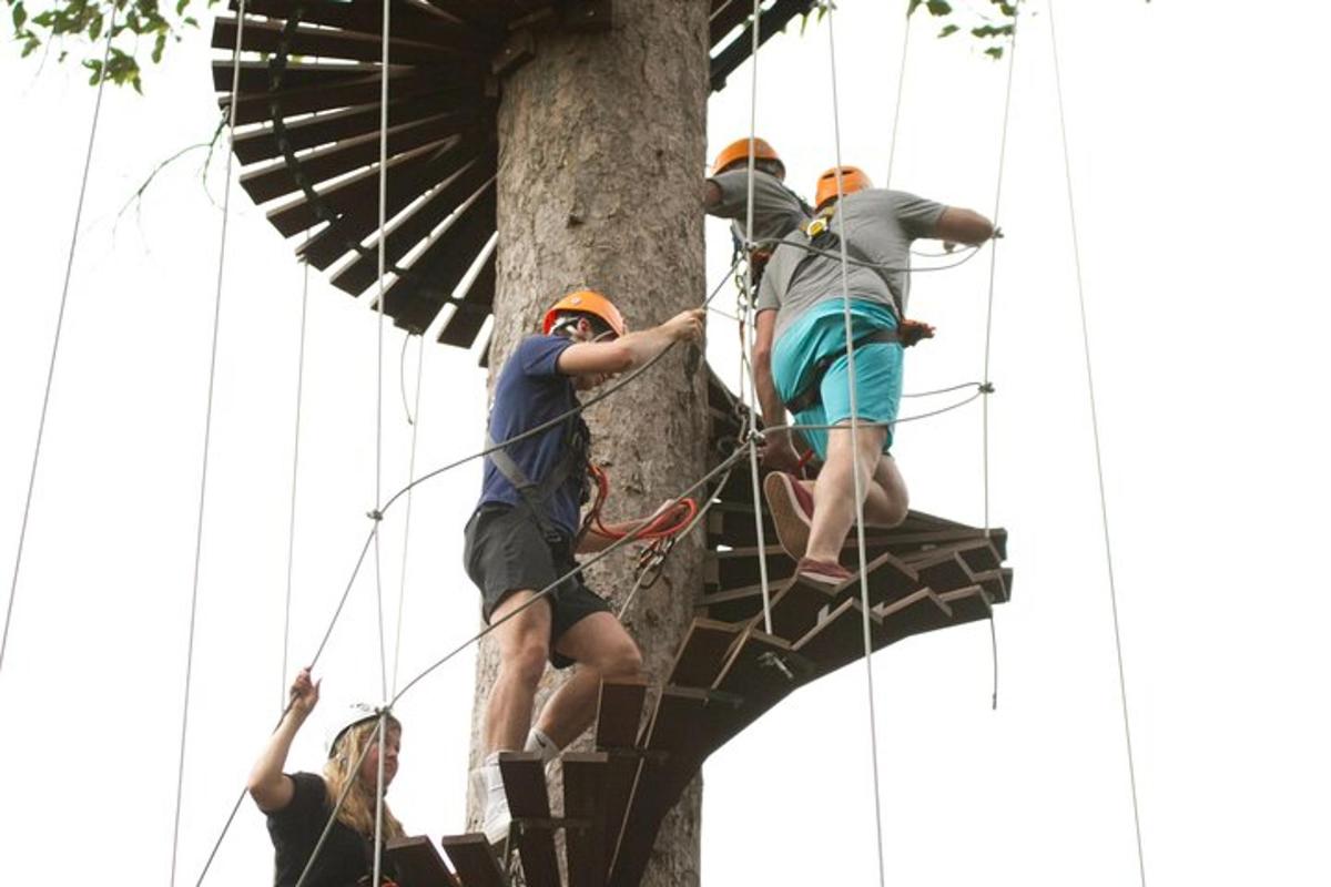 eine Gruppe von Menschen, die auf einen Baum klettern