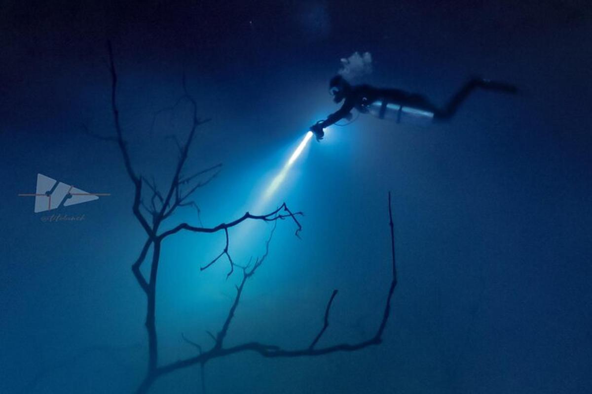 pesawat terbang di langit dengan pokok