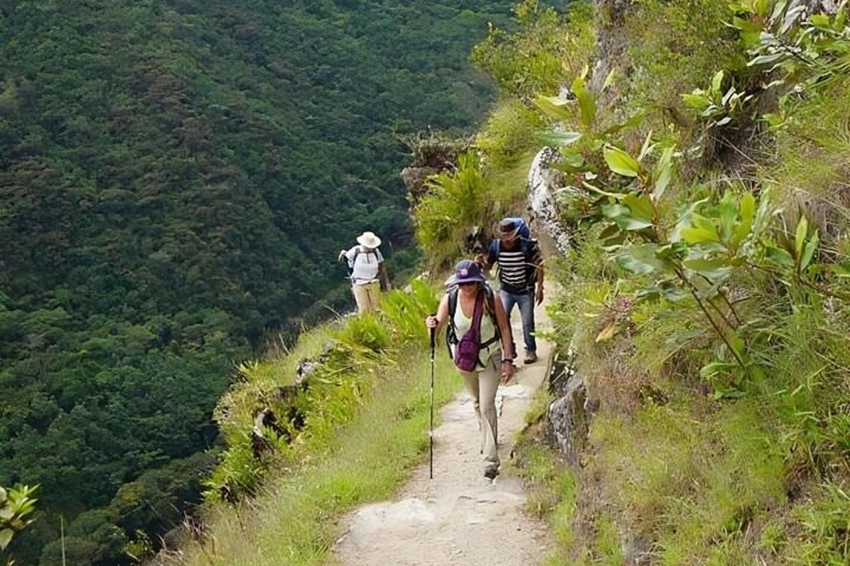 um grupo de pessoas caminhando em uma trilha na montanha