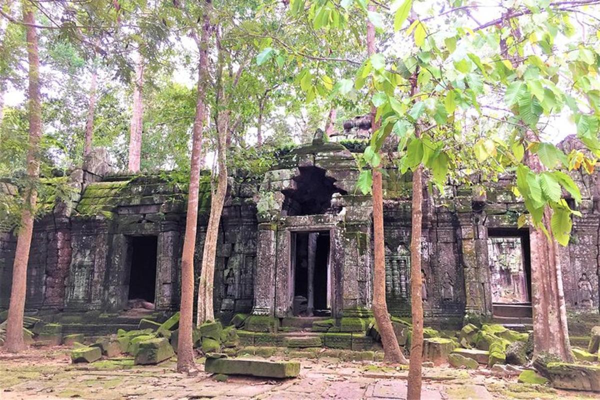 Un antiguo edificio de piedra con árboles delante.