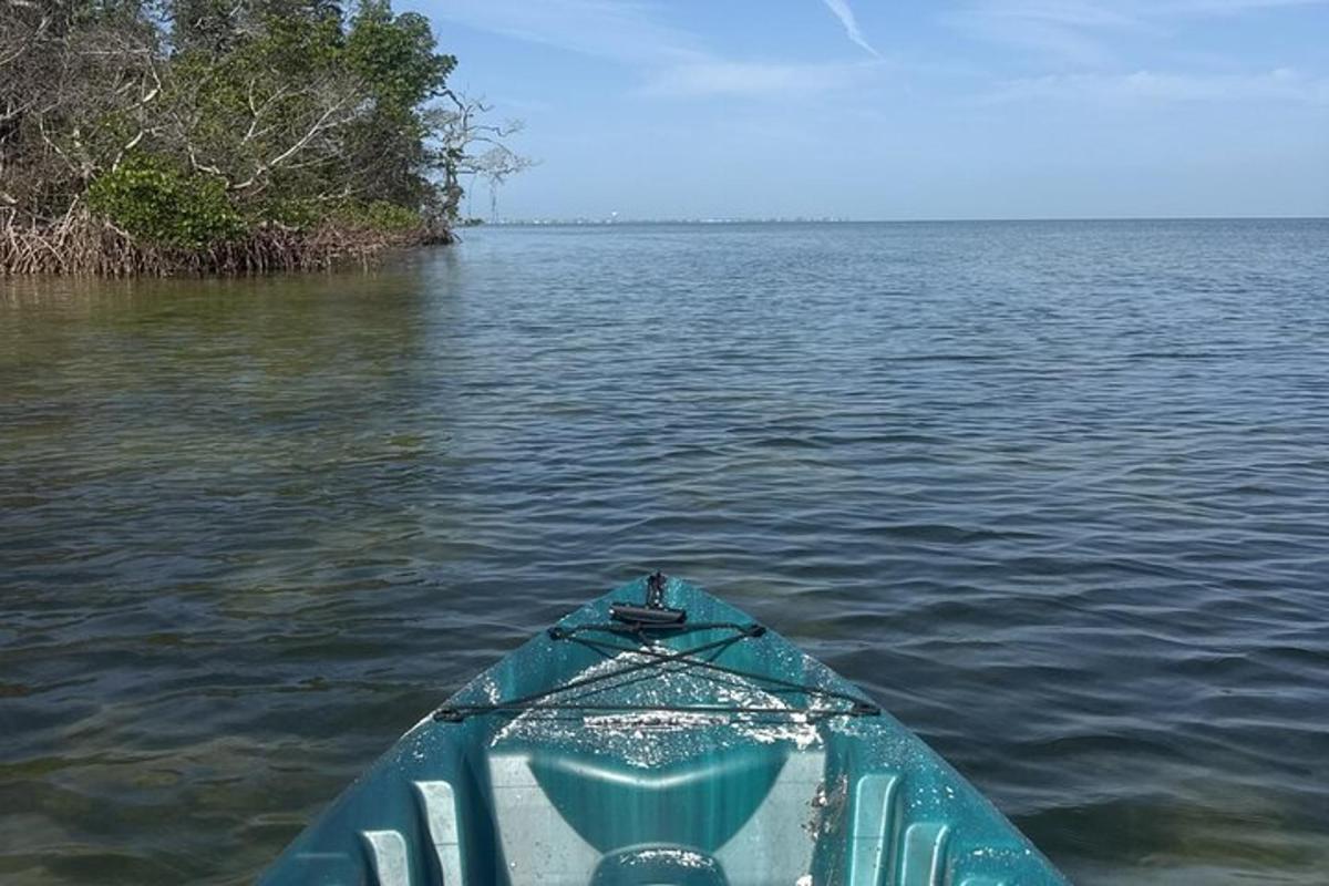 un kayak in acqua vicino a una riva