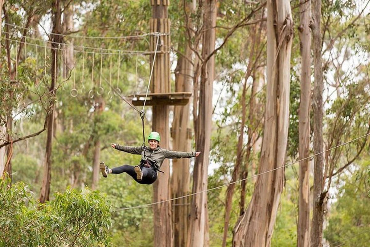 una persona che salta su una teleferica in una foresta