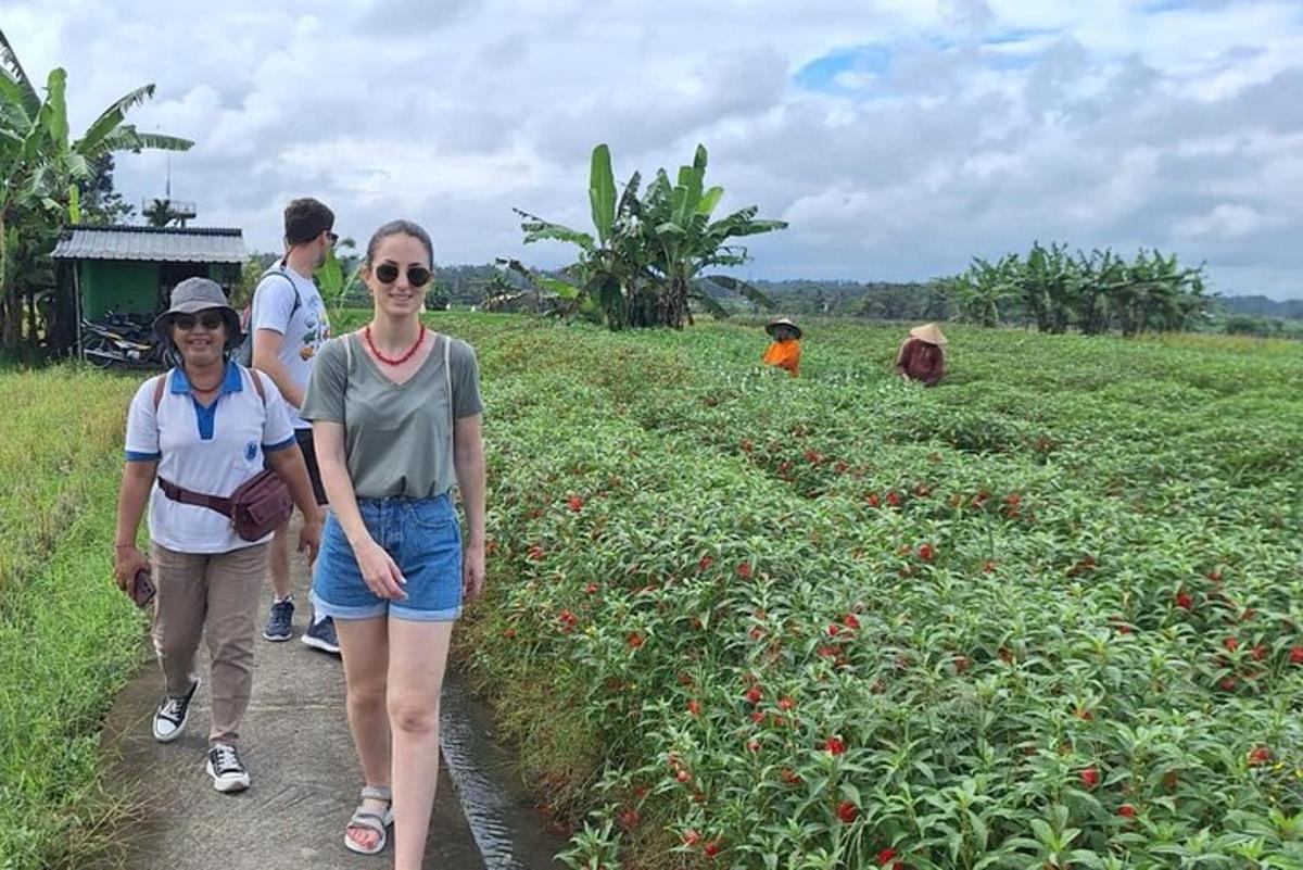 một nhóm người đang đi bộ qua một cánh đồng dâu tây